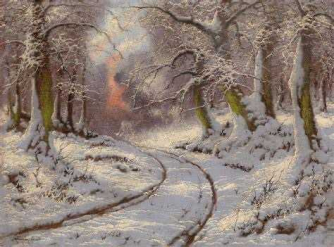 Midwinter scene with snow