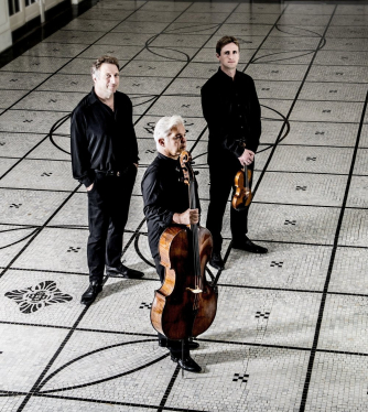 Vienna Piano Trio Vienna Piano Trio