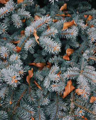 Photo by Jorge Garhe on Unsplash Photo by Jorge Garhe on Unsplash