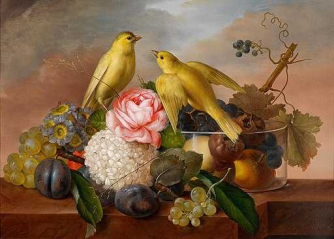 Franz Xavier Petter, Flowers and Birds (C19th), via Wikimedia Commons