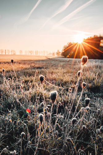 Tonbridge Philharmonic Society