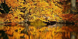 Sounds of Autumn Concert