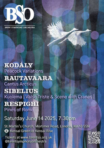 Brent Symphony Orchestra's Summer Concert Brent Symphony Orchestra's Summer Concert