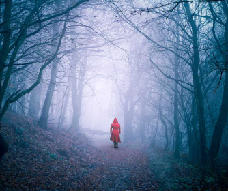 Into the Woods Into the Woods