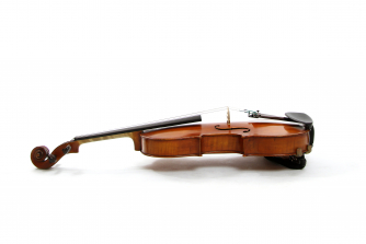 Viola Viola