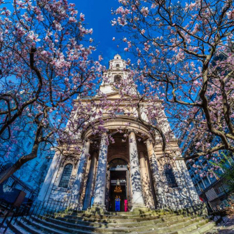 Beethoven Piano Trios by Candlelight