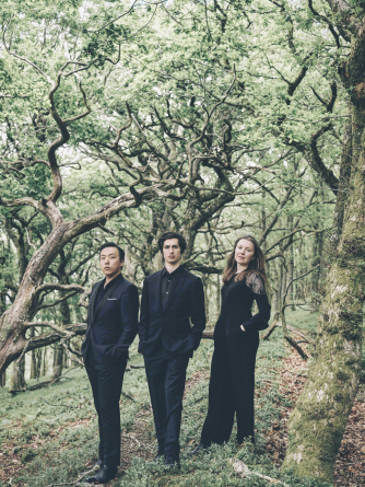 Trio Havisham (c) Julian Broad Trio Havisham (c) Julian Broad
