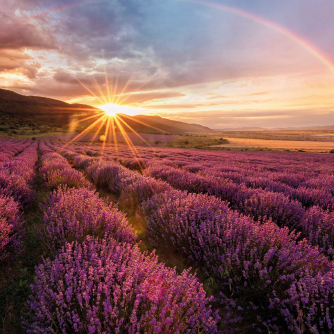 Guildford Choral - Rossini - Petite Messe Solennelle