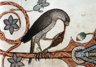 Bird having dinner, Medieval marginalia
