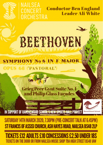 Nailsea Concert Orchestra