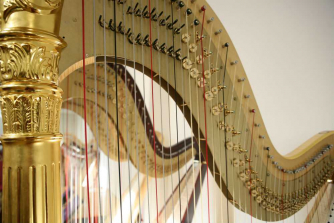 harps
