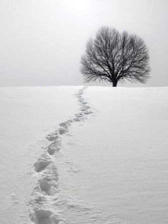 Schubert's "Winterreise" (Winter Journey) Schubert's "Winterreise" (Winter Journey)