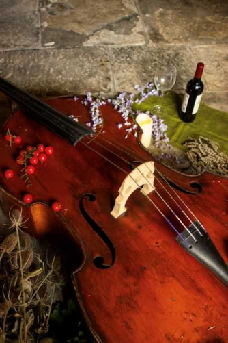 Double Bass