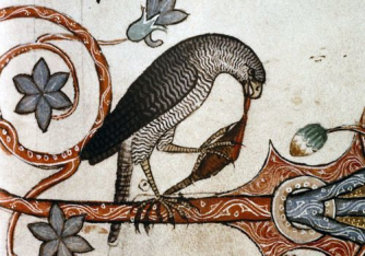 Bird having dinner, Medieval marginalia Bird having dinner, Medieval marginalia