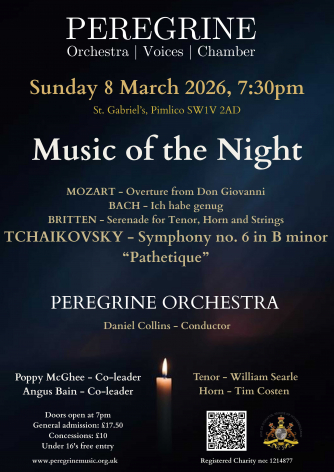 Peregrine Orchestra - Music of the Night