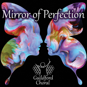 Mirror of Perfection Mirror of Perfection