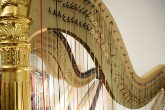 harp harp