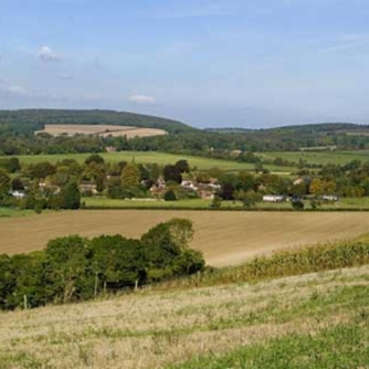 The Downs The Downs