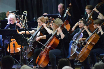 Members of the orchestra performing in a concert