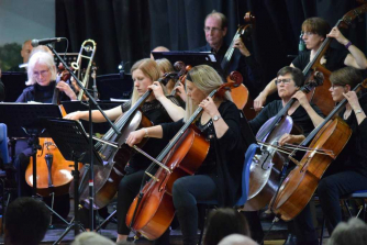 Members of the orchestra performing in a concert Members of the orchestra performing in a concert