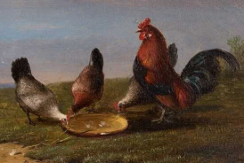 Les Poules