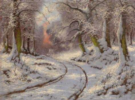 Midwinter scene with snow