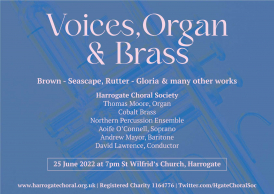 Voices Organ and Brass image