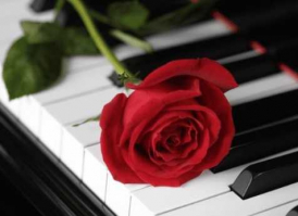 Valentine's Concert rose on piano