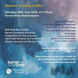 Summer Evening in Blue