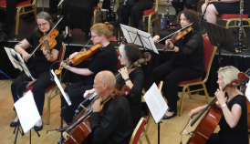 Part of string section