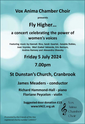 Fly Higher Concert Poster